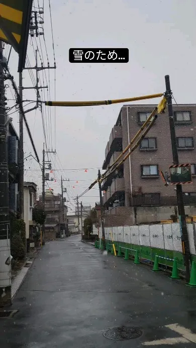 大粒の雪が降ってます…⁡❄⁡